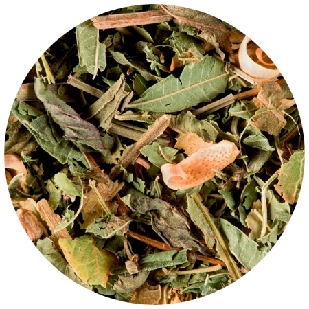 Tisane du Berger - Dammann...