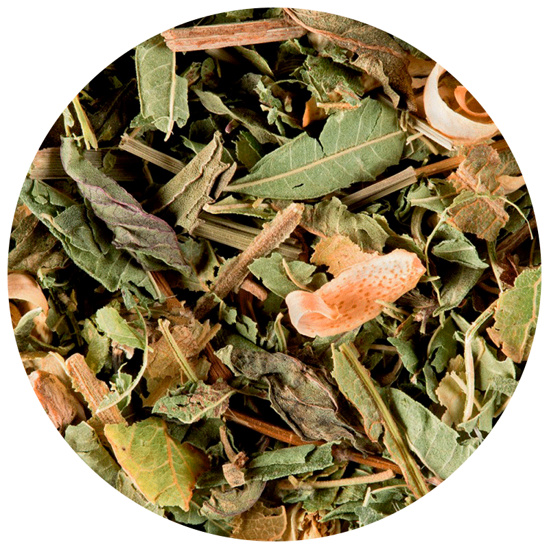 Dammann Frères - Tisane du Berger | Plaine d’Arômes