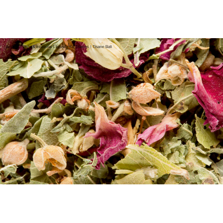 Tisane Bali - Dammann Frères