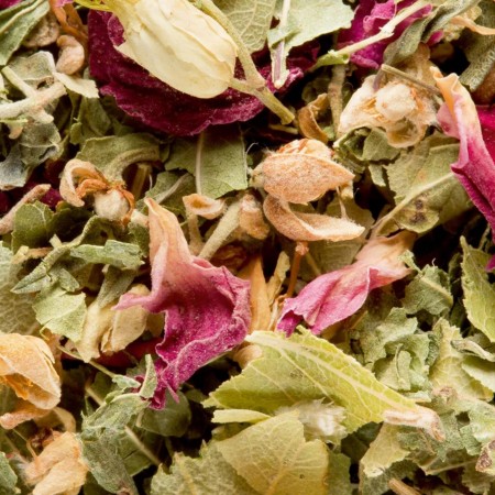 Tisane Bali - DAMMANN FRÈRES