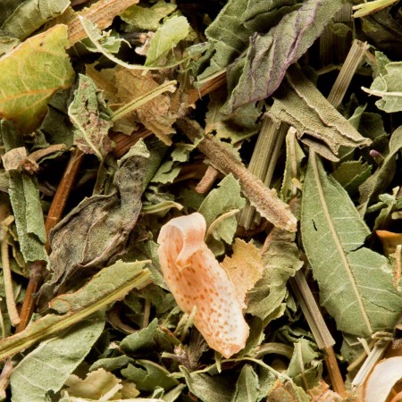 Tisane du Berger - DAMMANN...