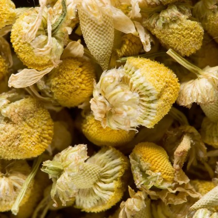 Camomille tisane en vrac
