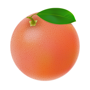 Illustration de pamplemousse