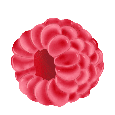 illustration de framboises