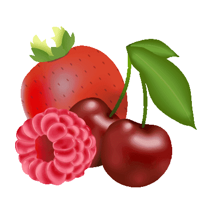 illustration de fruits rouges : fraise, framboise et cerises