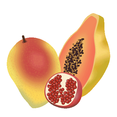 Illustration de fruits tropicaux - Plaine d'Arômes