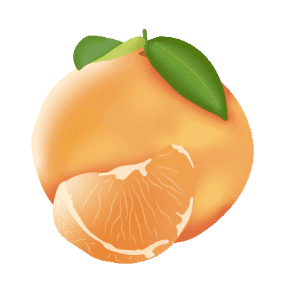 Illustration de mandarine - Plaine d'Arômes