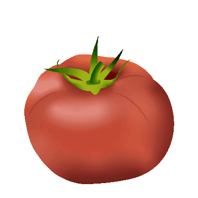 tomate