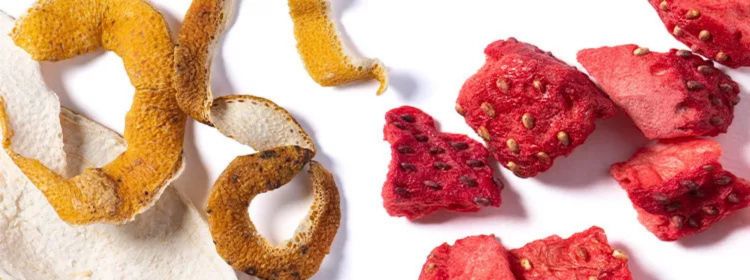 illustration de fruits