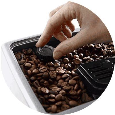 Broyeur 13 positions Contenance de 300g